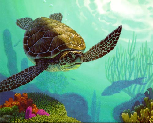 Черепахи - Картины-талисманы Фэн-Шуй